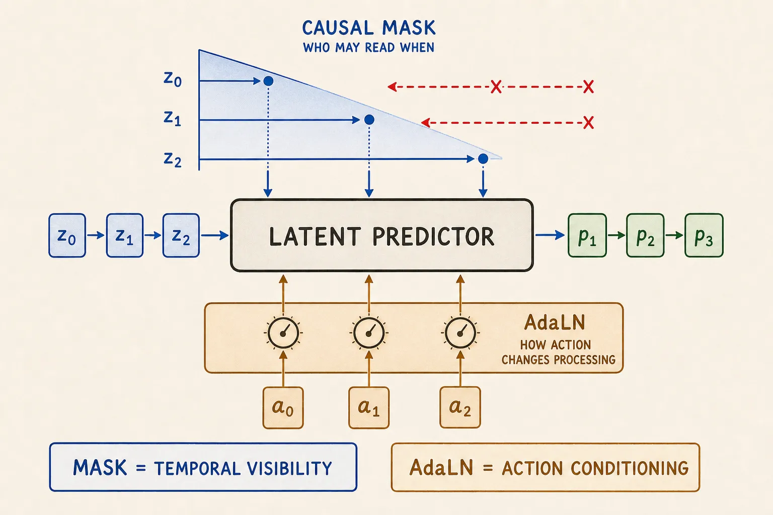 The causal curtain and AdaLN action panel have different jobs.